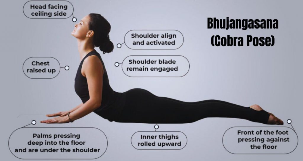 Detailed Guide On Bhujangasana Or Cobra Pose And Its Benefits