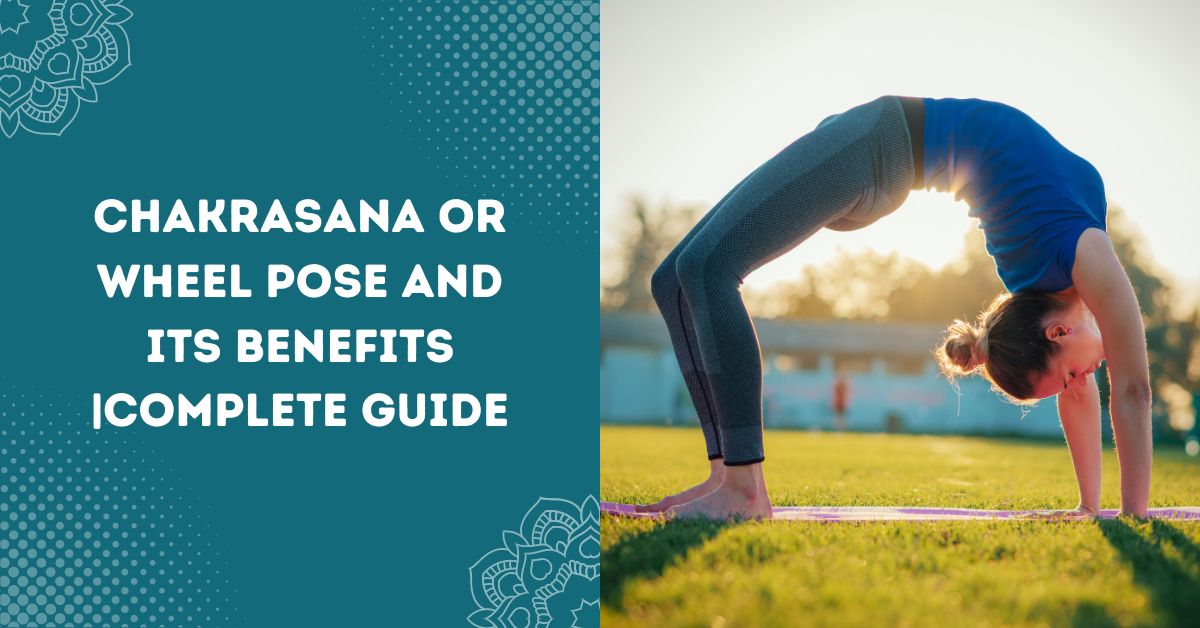 Chakrasana Or Wheel Pose