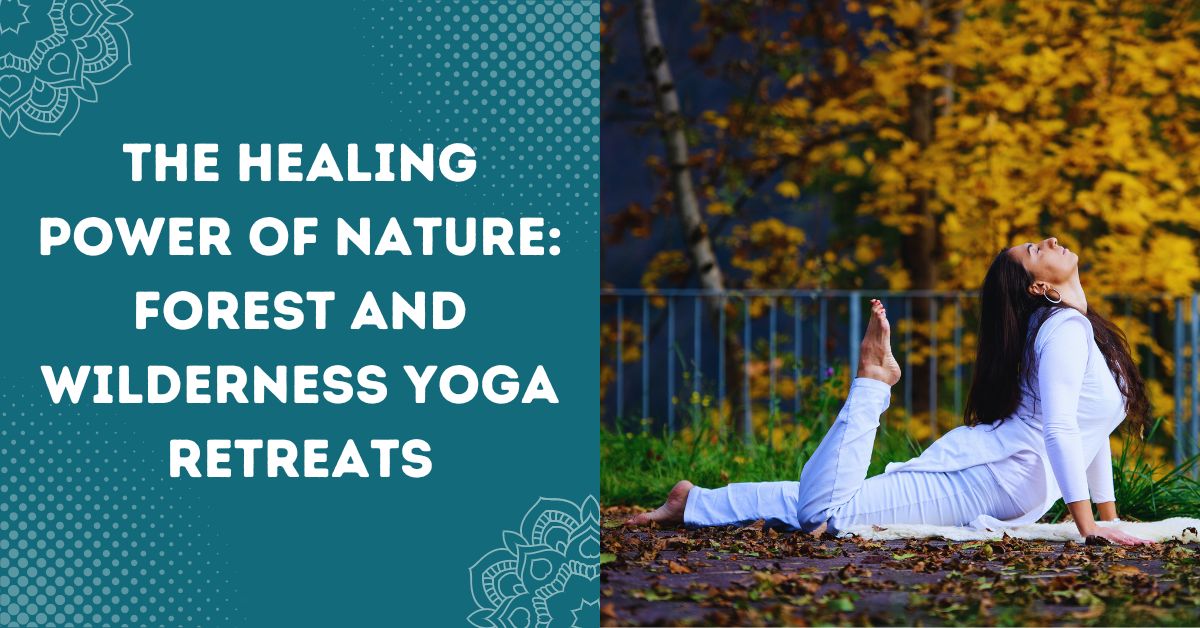 The Healing Power of Nature_ Forest and Wilderness Yoga Retreats